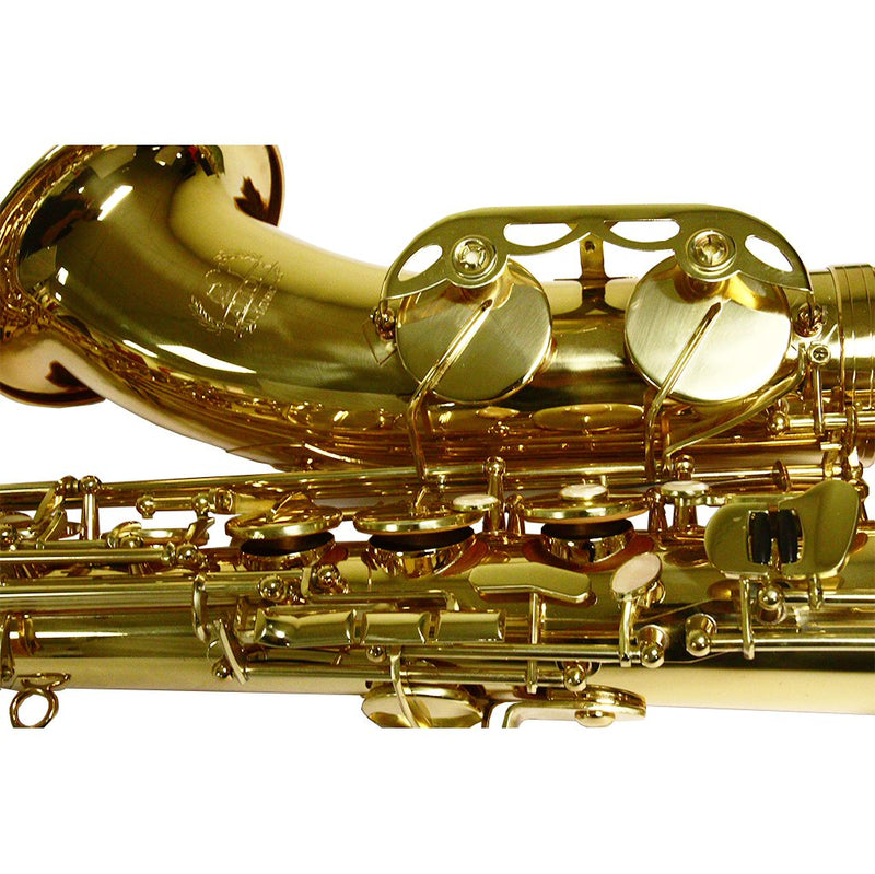 LAMOUR LAS-105A PROFESSIONAL ALTO SAXOPHONE